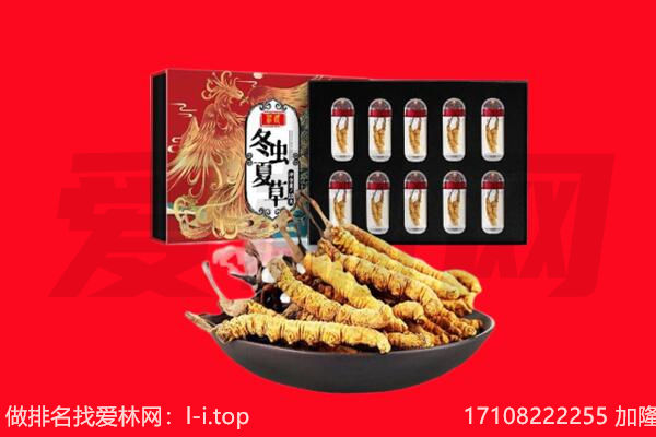 南宁青秀区回收虫草.jpg
